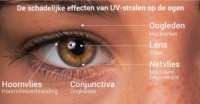 Uv-bescherming in brillen en zonnebrillen