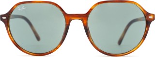 Ray-Ban Thalia RB2195 954/62 55